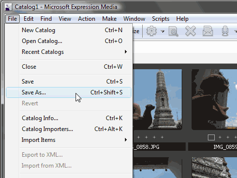 save in microsoft expression media
